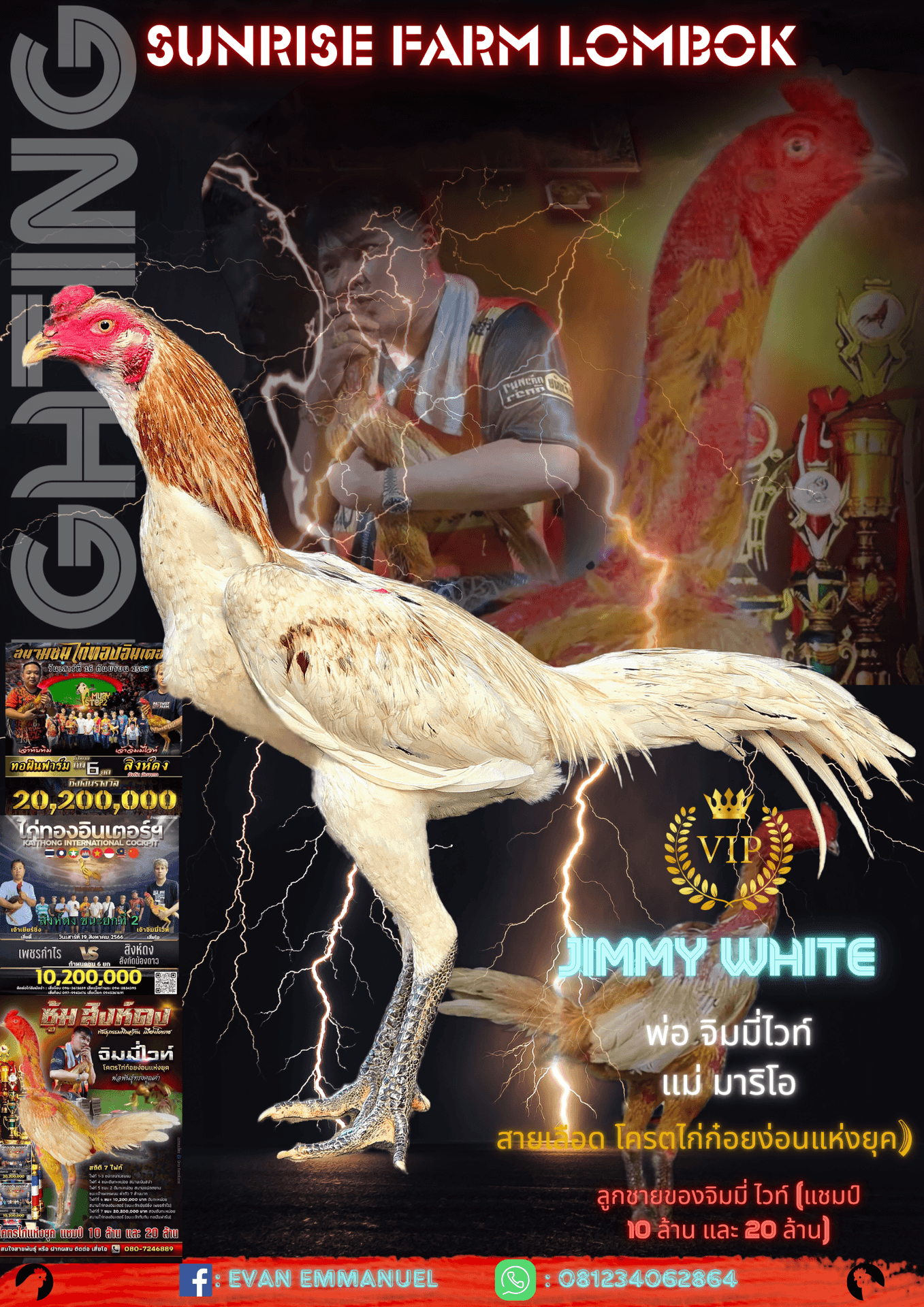 Poster for Sunrise Farm Lombok featuring a rooster with lightning effects and event information.