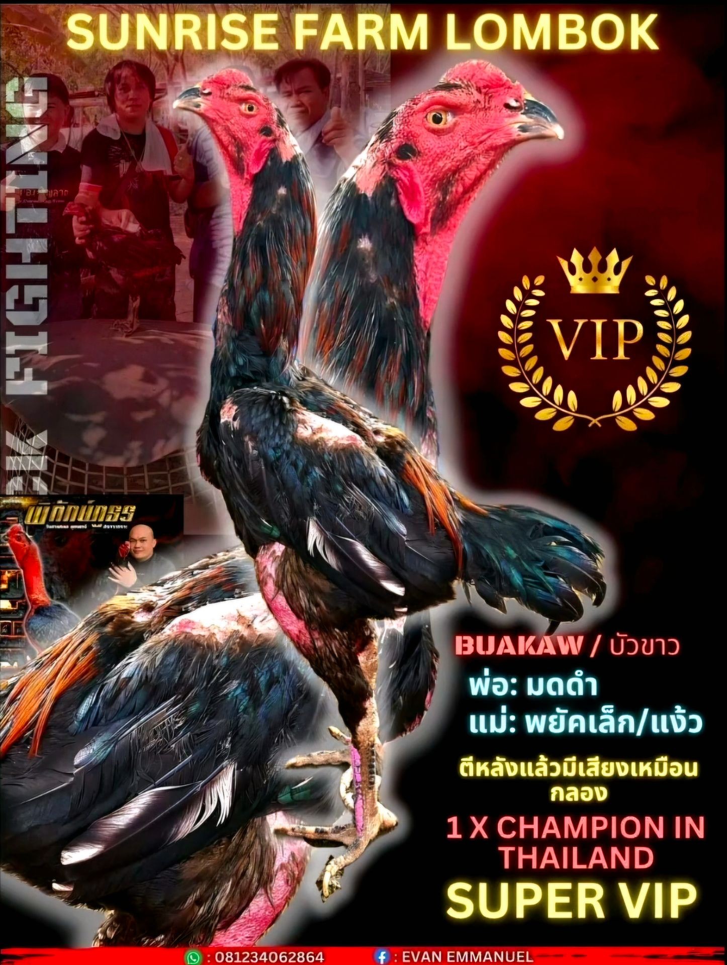Buakaw ( BlackRose)