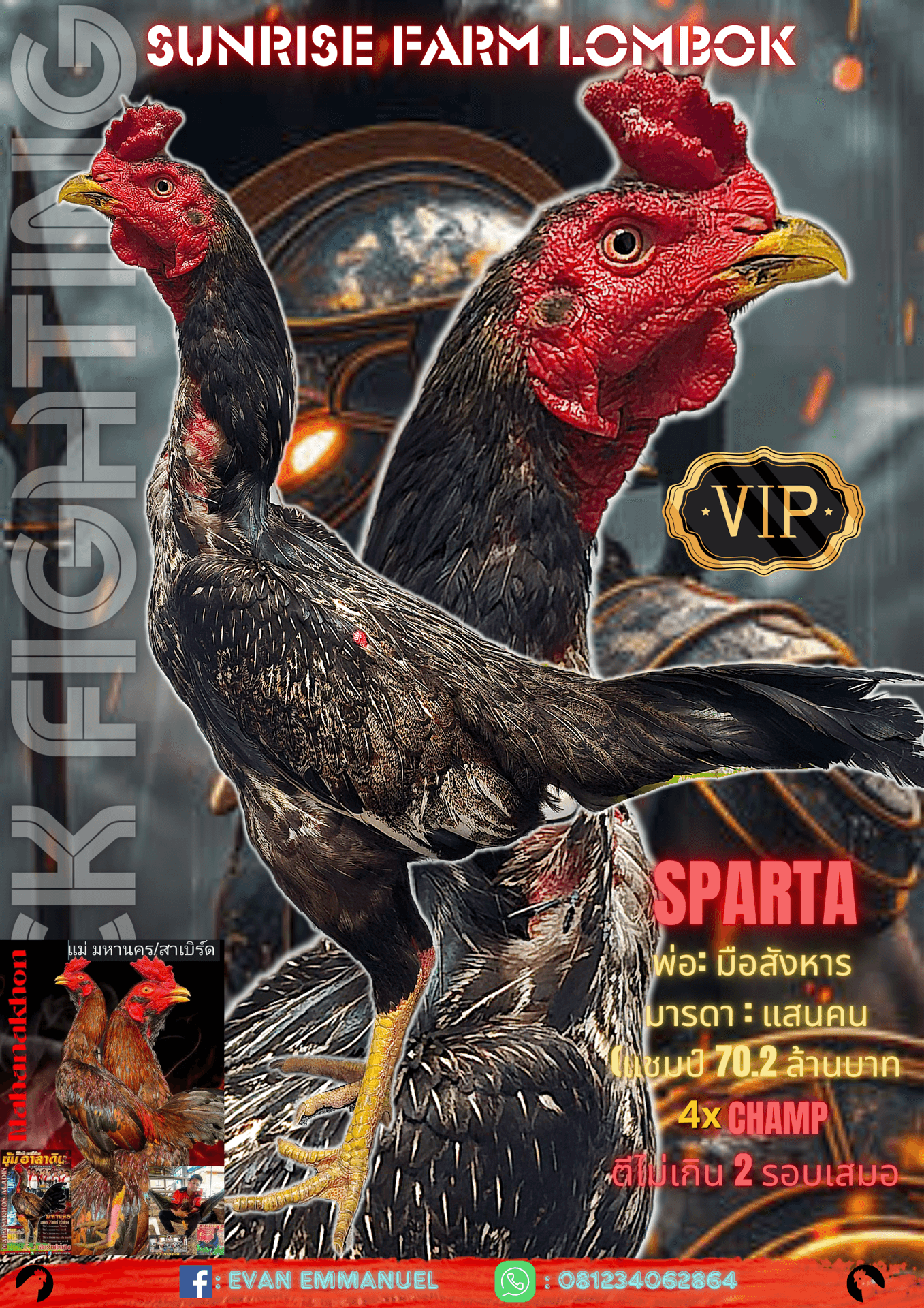 SPARTA